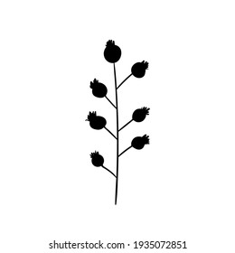 Tree branch with berries silhouette isolated on white background. Dog rose  plant element.