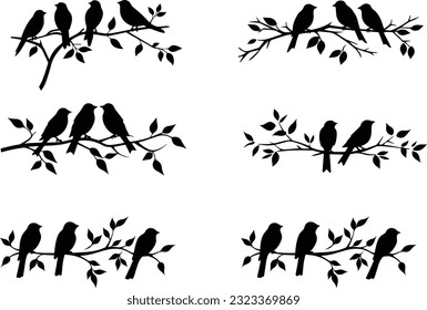 Tree branch bird images and white background