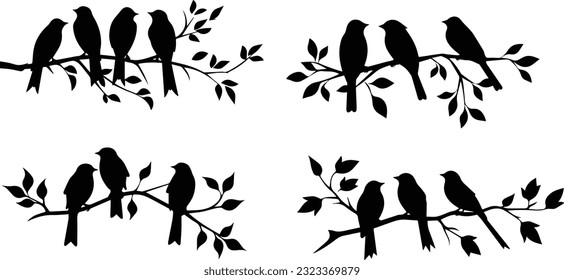 Tree branch bird images and white background