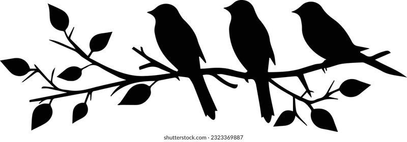 Tree branch bird images and white background