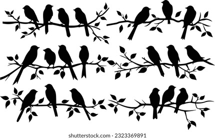 Tree branch bird images and white background