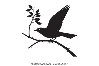 Tree branch bird images and white background
