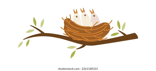 Tree branch with bird nest with chicks inside flat icon. Vector illustration