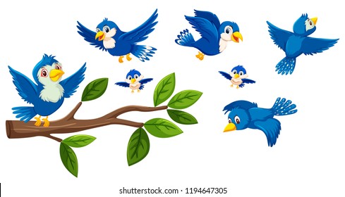 Tree branch and birds collection illustration