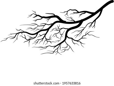 tree branch black silhouette vector isolated on white