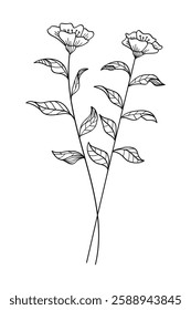 Tree branch botanical line art nature element drawing.Vector illustration.