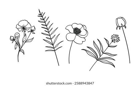 Tree branch botanical line art nature element drawing set.Vector illustration.