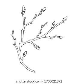 tree branch with buds. eps10 vector stock illustration. hand drawing. out line