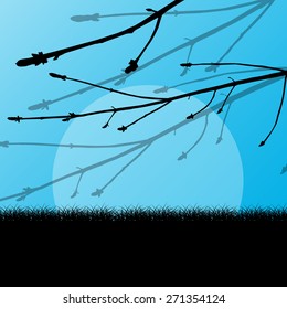Tree branch with buds spring vector background landscape with grass field