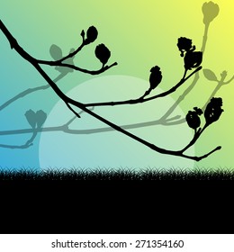 Tree branch with buds spring vector background landscape with grass field
