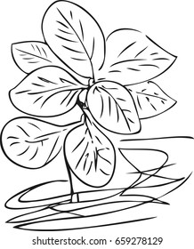 Tree branch. Calligraphy. Vector.