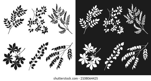 Tree branch collection, floral isolated black and white silhouettes. Hand drawn sketch. Vector elements for organic products package design, illustration of nature details, floral pattern and print svg