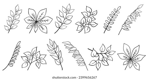 Tree branch collection, twigs and leaves of acacia, laurel, birch, willow, chestnut. Hand drawn outline sketch isolated on white. Vector for nature and botany illustration, floral and organic design.