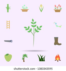 Tree branch colored icon. Universal set of nature for website design and development, app development