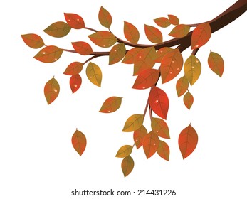 Tree branch with colorful falling leaves, autumn season.