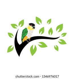 tree branch and colorful little parrot, vector 