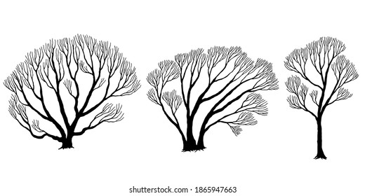 tree branch design halloween vector drawing art