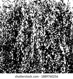 Tree branch design template. Background texture. Vector illustration.