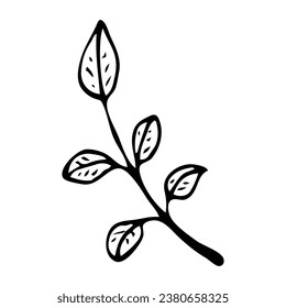 Tree branch with doodle leaves. Summer nature. Hand drawn sketch.
