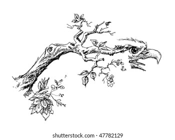 Tree branch with eagle head sketch