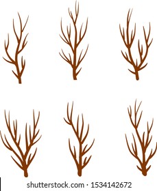 Tree branch. Element of nature, forest, Park. Set of different brown sticks. Cartoon flat illustration