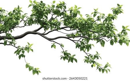 Tree branch elements, green wild tree leaves, lush forest foliage, natural greenery background, outdoor green tree branches, vibrant forest leaves, fresh green forest backdrop