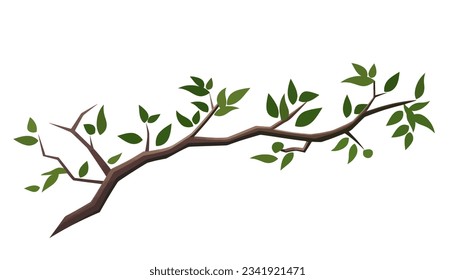 Tree branch in flat style. Spring tree branches with different leaves.