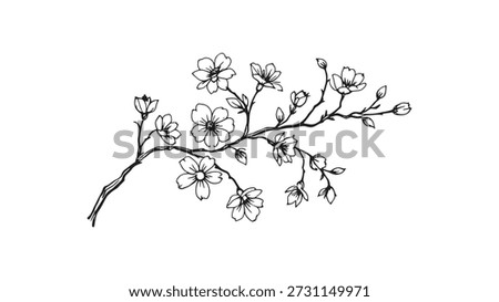 Tree branch flower line art elegant minimalist nature inspired sketch