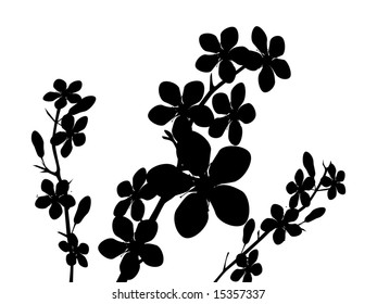 Tree branch with flower. Silhouette