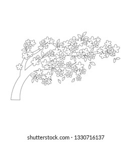 tree branch with flowers