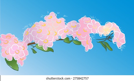tree branch in flowers