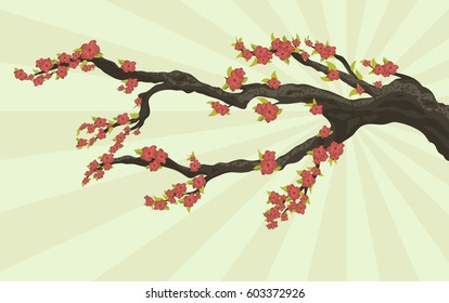tree branch with flowers and leaves Sakura