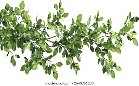 Tree branch foliage composition illustration, isolated greenery, vector design, fresh green leaves, natural elements, plant illustration, isolated plant, nature vector, leaf silhouette