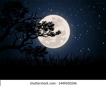 tree branch and fool moon under starry night