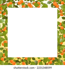 Albaricoque de rama de árbol con frutos maduros. Planta de jardín con cosecha comestible. Rama con follaje y hojas. Aislado sobre fondo blanco. Vector.