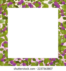 Tree branch frame plum with ripe fruits. Garden plant with edible harvest. Branch with foliage and leaves. Isolated on white background. Vector