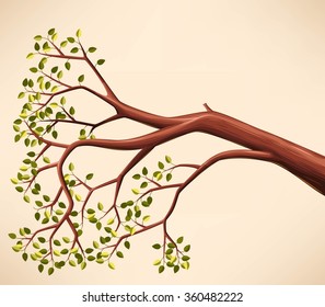 Tree Branch With Green Leaves