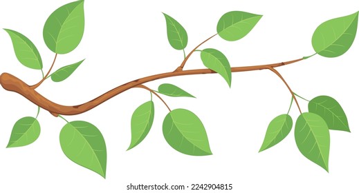 Tree branch with green leaves. Cartoon nature icon isolated on white background