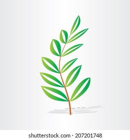 tree branch with green leaves freshness texture organic botany herb season background