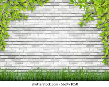 Tree branch with green leaves and grass on white brick wall background.