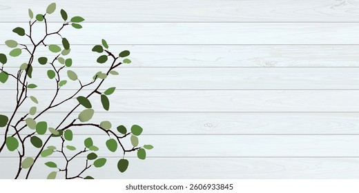 Tree branch with green leaves have white wooden wall background graphic illustration have blank space.