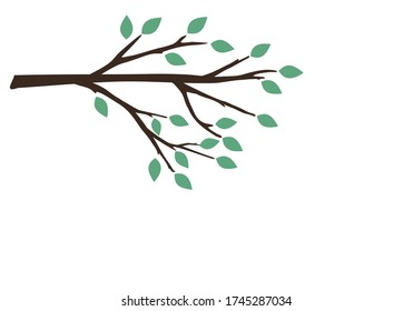 Tree branch with green leaves isolated on white background vector illustration.