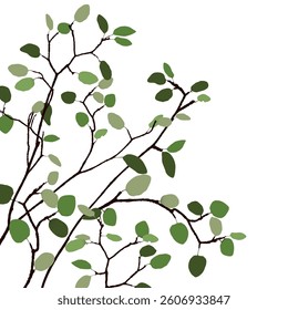 Tree branch with green leaves isolated on white square background graphic illustration.