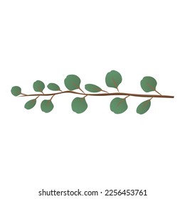 Rama de árbol con hojas verdes sobre fondo blanco