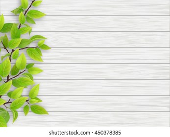 Tree branch with green leaves on white old wood background