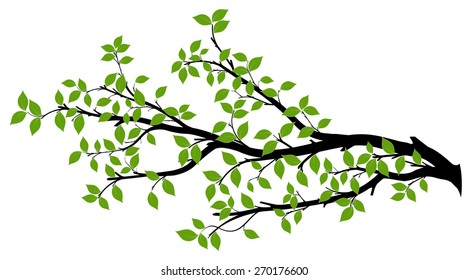 Tree branch with green leaves over white background. Vector graphics. Artwork design element. - Shutterstock ID 270176600