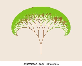 Tree branch with green leaves over white background