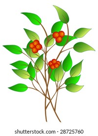Tree branch with green leaves and red berries