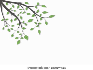 Tree branch with green leaves with space for text on a white background
