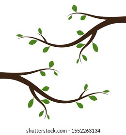 Tree branch with green leaves. Vector illustration. Abstract branch with leaves, isolated.
